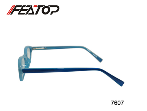 Eyewear 7607 图4
