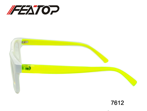 Eyewear Glasses 7612 图4